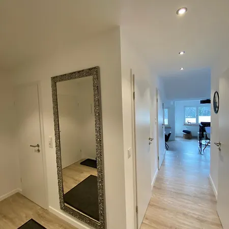 Papillon 2.0 * Sankt Andreasberg